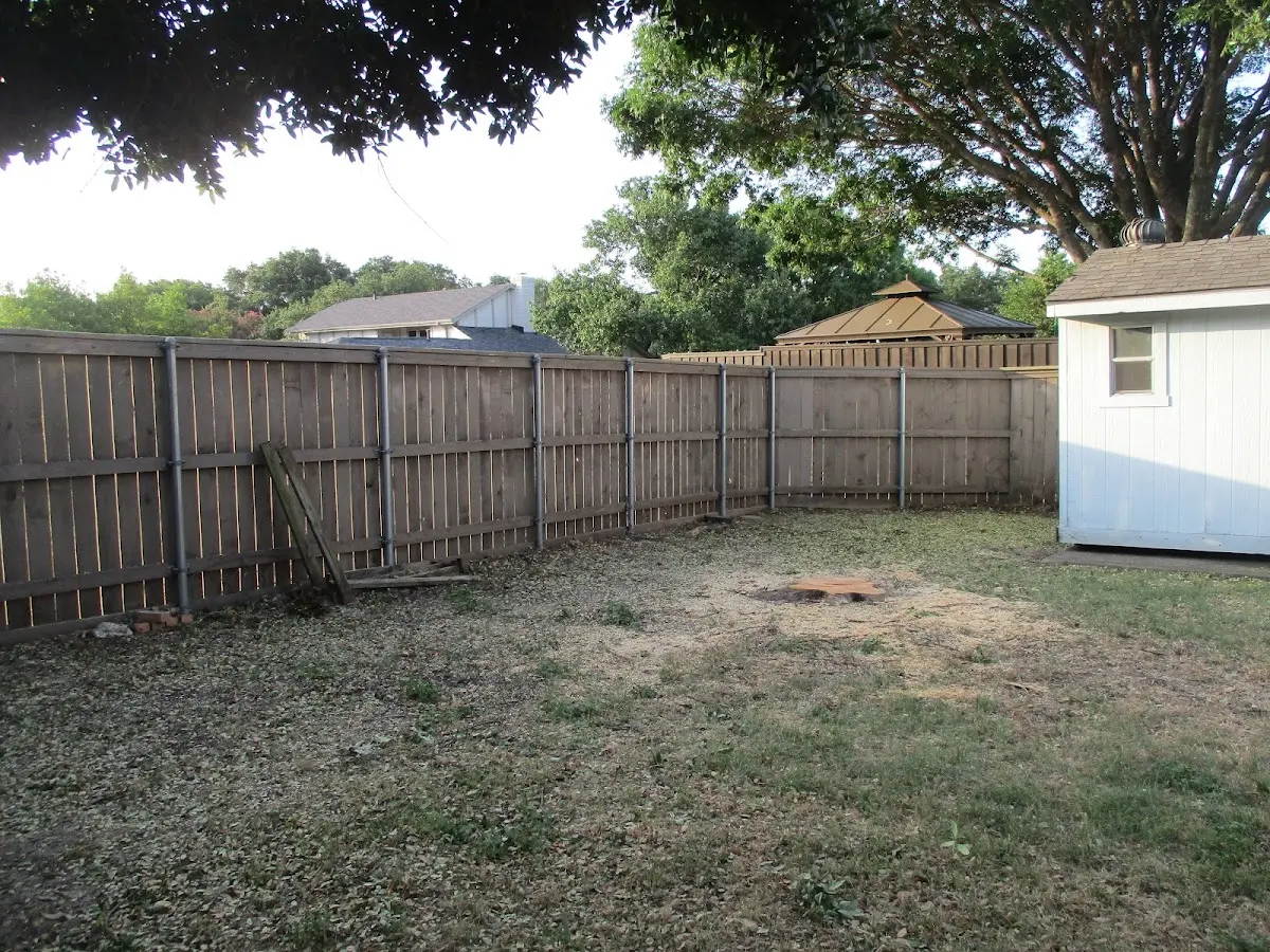 Cleared yard after professional tree removal in Santa Teresa